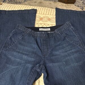 Chico’s Elastic Waist Dark Blue Jeans